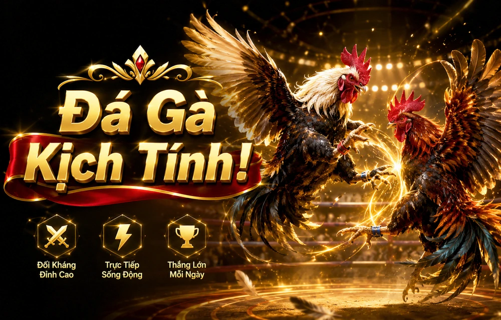 Hình minh họa bài viết VIN88